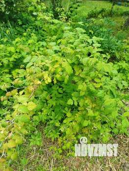 Дом 75м², 1-этажный, на длительный срок,