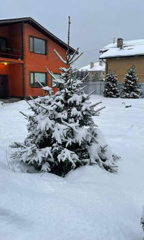 Дом 209м², 2-этажный, участок 10 сот.