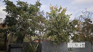 Коттедж 660м², 3-этажный, участок 19 сот.