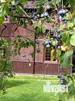 Дом 230м², 2-этажный, участок 25 сот.