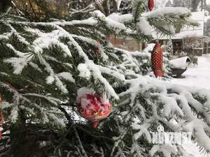 Дом 49м&sup2;, 2-этажный, посуточно, 