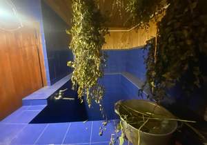 Дом 288м&sup2;, 3-этажный, участок 5 сот.  