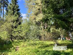 Дом 84м², 2-этажный, участок 16 сот.  