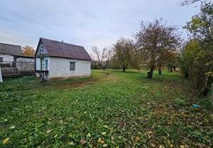 Дом 42м&sup2;, 1-этажный, участок 36 сот.  