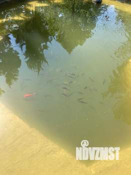 Дом 225м², 3-этажный, участок 8 сот.  