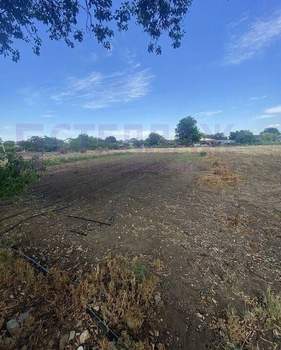 Дом 61м&sup2;, 1-этажный, участок 25 сот.  