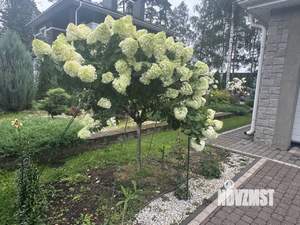 Дом 172м², 2-этажный, участок 15 сот.  