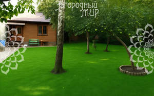 Дом 50м&sup2;, 1-этажный, участок 6 сот.  