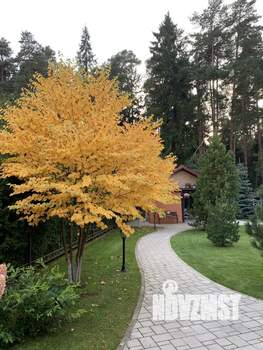 Коттедж 385м², 2-этажный, участок 15 сот.  