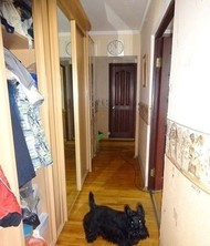 Фото комнаты в аренду (7)