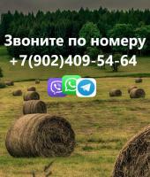 Фото комнаты в аренду (6)