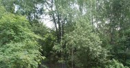 Фото комнаты на продажу (6)
