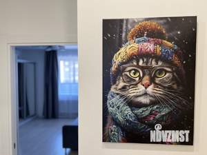 Студия квартира, на длительный срок, 24м2, 7/15 этаж