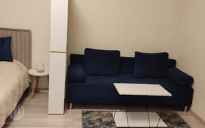 1-к квартира, на длительный срок, 43м2, 1/8 этаж