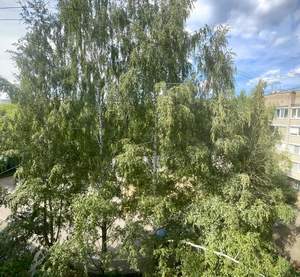 2-к квартира, на длительный срок, 51м2, 5/5 этаж