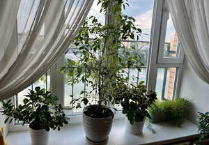 3-к квартира, вторичка, 87м2, 16/17 этаж