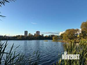 1-к квартира, вторичка, 46м2, 4/16 этаж