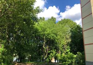 1-к квартира, вторичка, 37м2, 8/9 этаж