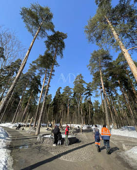 1-к квартира, вторичка, 31м2, 3/5 этаж